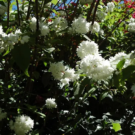 Le Castelet Szálloda